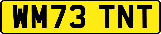WM73TNT