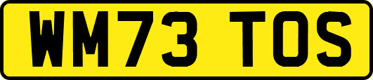 WM73TOS