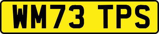 WM73TPS