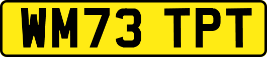 WM73TPT
