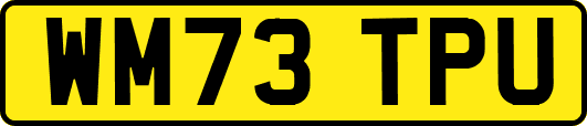 WM73TPU