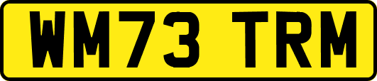 WM73TRM
