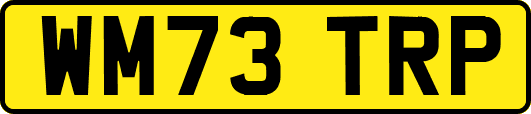 WM73TRP