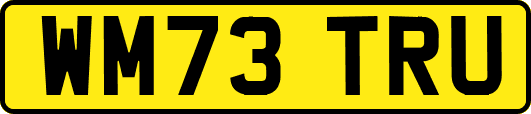 WM73TRU