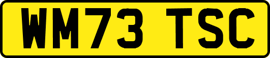 WM73TSC