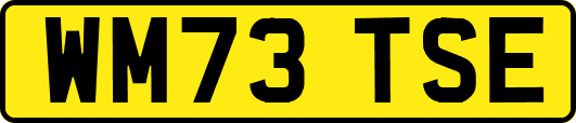 WM73TSE