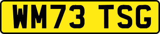 WM73TSG