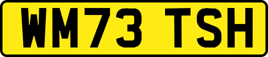 WM73TSH