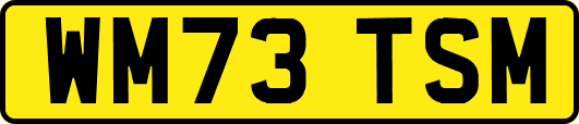 WM73TSM