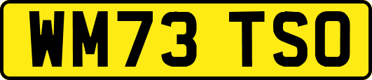 WM73TSO