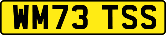 WM73TSS