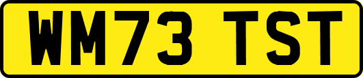 WM73TST