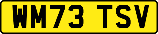 WM73TSV