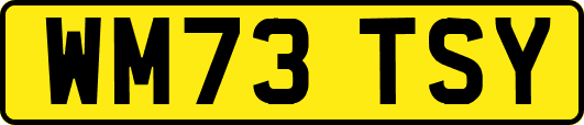 WM73TSY