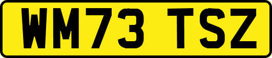WM73TSZ