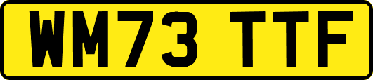 WM73TTF