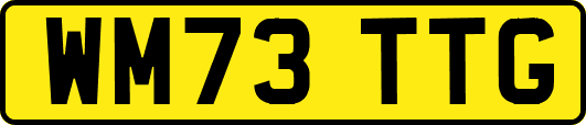 WM73TTG