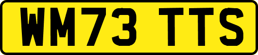 WM73TTS