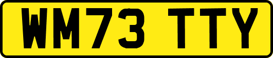 WM73TTY