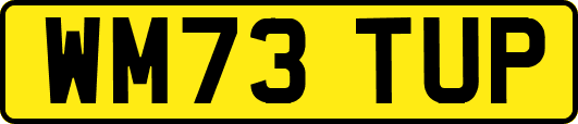 WM73TUP