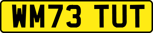 WM73TUT