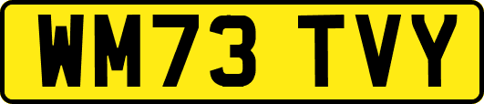 WM73TVY
