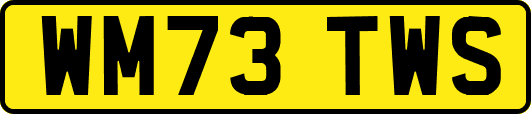 WM73TWS