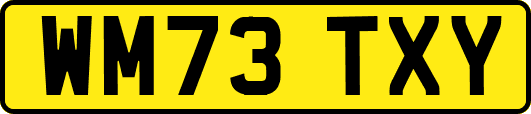 WM73TXY