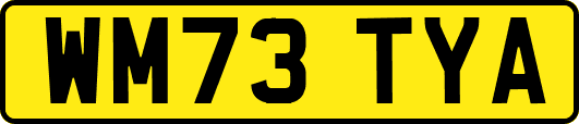 WM73TYA