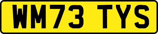 WM73TYS