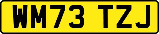 WM73TZJ