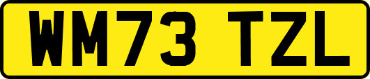WM73TZL