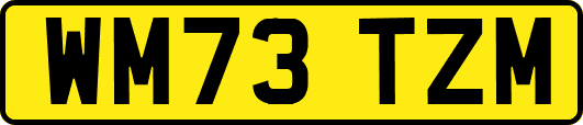WM73TZM