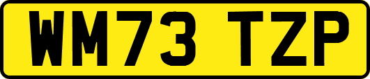 WM73TZP