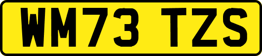 WM73TZS