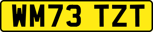 WM73TZT