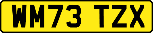 WM73TZX
