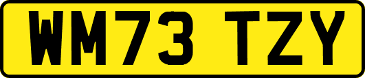 WM73TZY