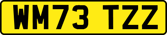 WM73TZZ