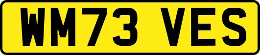 WM73VES