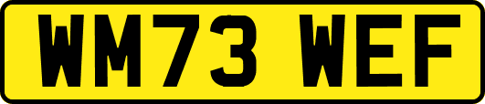 WM73WEF