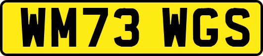WM73WGS