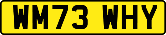 WM73WHY