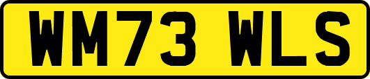 WM73WLS