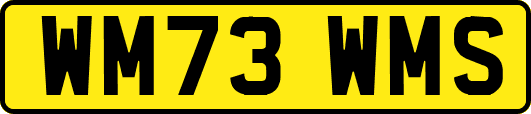 WM73WMS