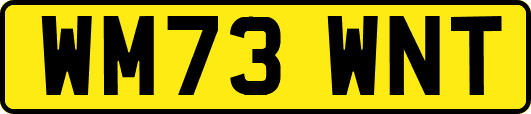 WM73WNT