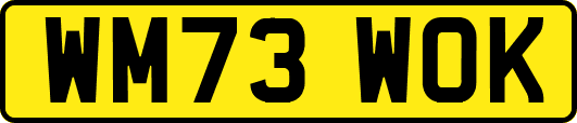 WM73WOK