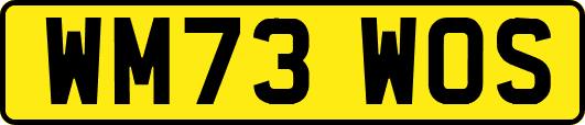 WM73WOS