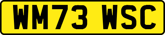 WM73WSC