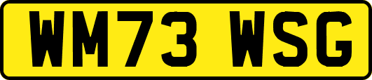 WM73WSG